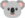 KoalaThePet